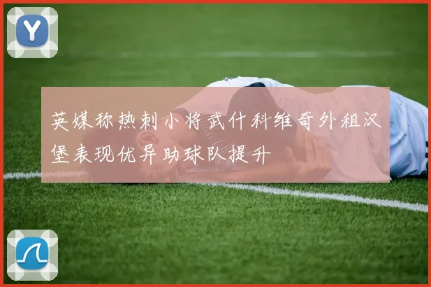 英媒称热刺小将武什科维奇外租汉堡表现优异助球队提升
