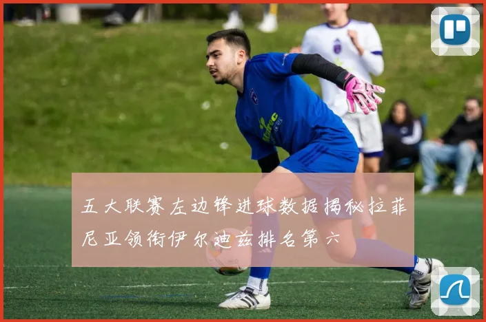 五大联赛左边锋进球数据揭秘拉菲尼亚领衔伊尔迪兹排名第六
